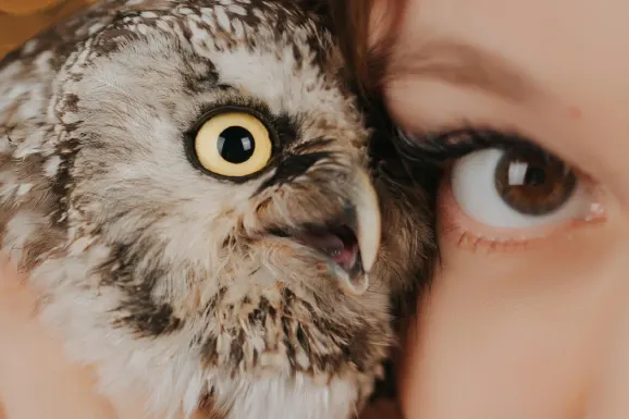 Betitall Cazino Cazinou Suport